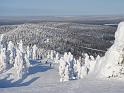 021 Rinnekuvia